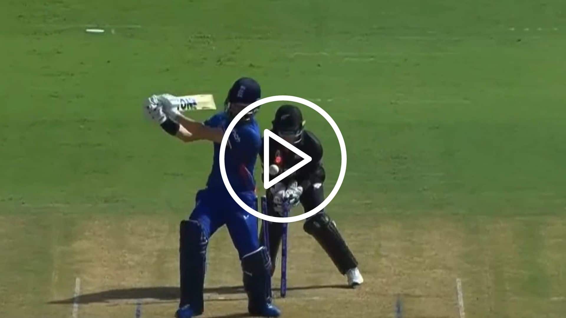 [Watch] Glenn Phillips Castles Moeen Ali With A Ripper In World Cup Opener